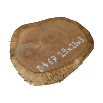 Plaster Dębowy 29x23x3cm Dąb po suszarni