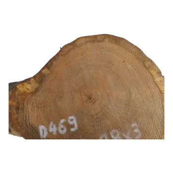 Plaster Dębowy 48x28x3cm Dąb po suszarni