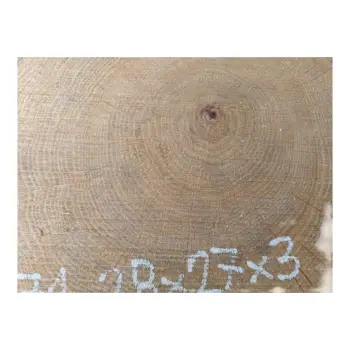 Plaster Dębowy 28x27x3cm Dąb po suszarni