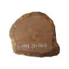 Plaster Dębowy 26x26x3cm Dąb po suszarni