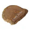 Plaster Dębowy 26x26x3cm Dąb po suszarni