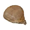 Plaster Dębowy 30x29x3cm Dąb po suszarni