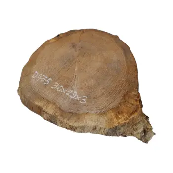 Plaster Dębowy 30x29x3cm Dąb po suszarni