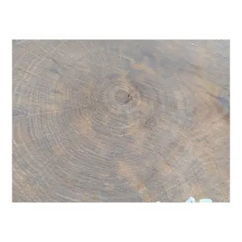 Plaster Dębowy 31x23x3cm Dąb po suszarni