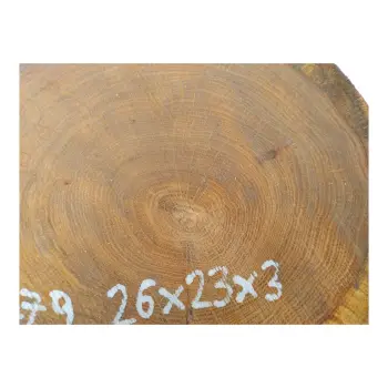 Plaster Dębowy 26x23x3cm Dąb po suszarni