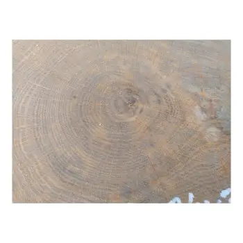 Plaster Dębowy 29x24x3cm Dąb po suszarni