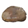 Plaster Dębowy 33x22x3cm Dąb po suszarni