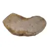 Plaster Dębowy 42x19x3cm Dąb po suszarni