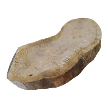 Plaster Dębowy 42x19x3cm Dąb po suszarni