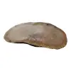 Plaster Dębowy 39x19x3cm Dąb po suszarni