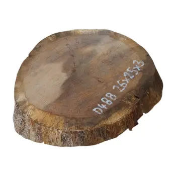 Plaster Dębowy 26x25x3cm Dąb po suszarni
