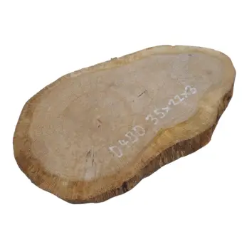 Plaster Dębowy 35x22x3cm Dąb po suszarni