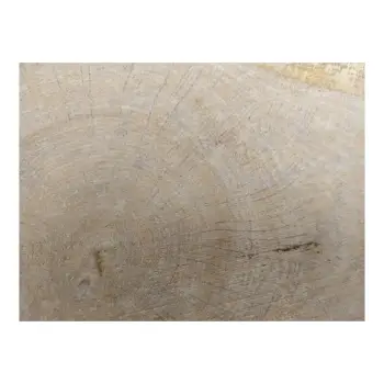 Plaster Dębowy 35x22x3cm Dąb po suszarni