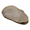 Plaster Dębowy 36x22x3cm Dąb po suszarni