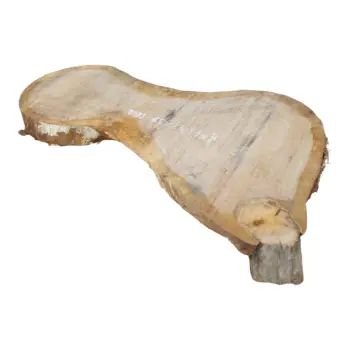 Plaster Dębowy 62x31x7cm Dąb po suszarni