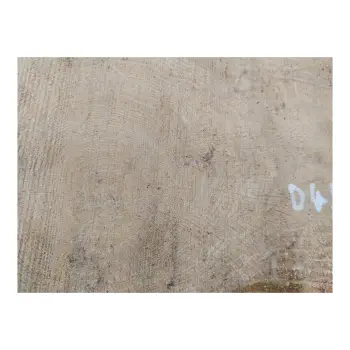 Plaster Dębowy 59x31x6cm Dąb po suszarni