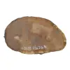 Plaster Dębowy 49x31x4cm Dąb po suszarni