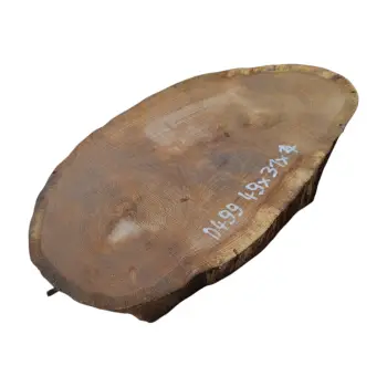Plaster Dębowy 49x31x4cm Dąb po suszarni