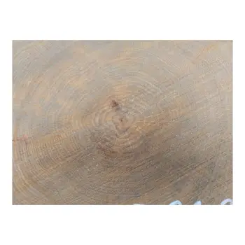 Plaster Dębowy 35x31x3cm Dąb po suszarni