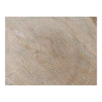 Plaster Dębowy 35x31x3cm Dąb po suszarni