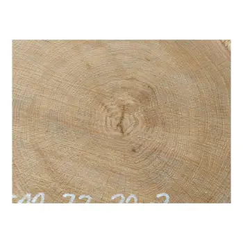 Plaster Dębowy 33x32x3cm Dąb po suszarni