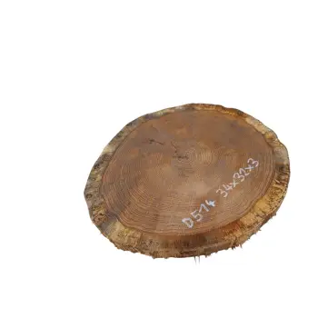 Plaster Dębowy 34x32x3cm Dąb po suszarni