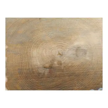 Plaster Dębowy 33x32x3cm Dąb po suszarni