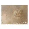 Plaster Dębowy 34x33x3cm Dąb po suszarni