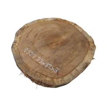 Plaster Dębowy 33x32x3cm Dąb po suszarni