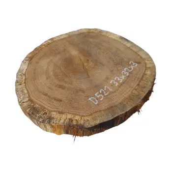Plaster Dębowy 33x32x3cm Dąb po suszarni