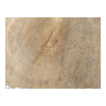 Plaster Dębowy 33x32x3cm Dąb po suszarni