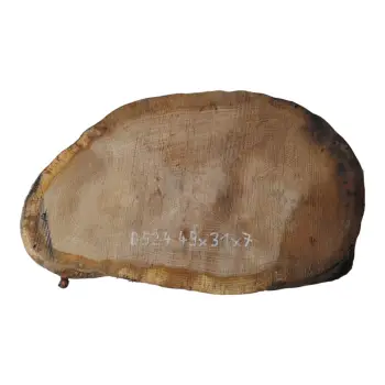 Plaster Dębowy 49x31x7cm Dąb po suszarni
