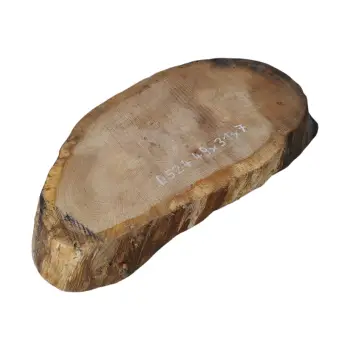 Plaster Dębowy 49x31x7cm Dąb po suszarni
