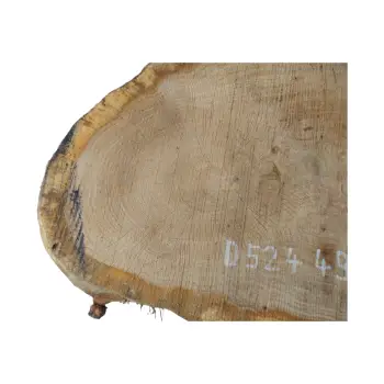 Plaster Dębowy 49x31x7cm Dąb po suszarni