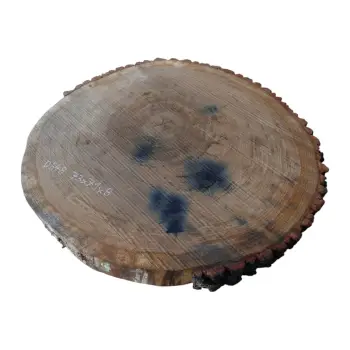 Plaster Dębowy 73x71x8cm Dąb po suszarni