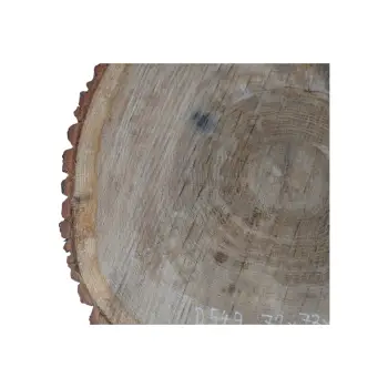 Plaster Dębowy 72x73x8cm Dąb po suszarni