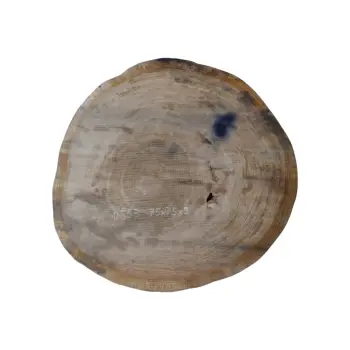 Plaster Dębowy 75x75x9cm Dąb po suszarni