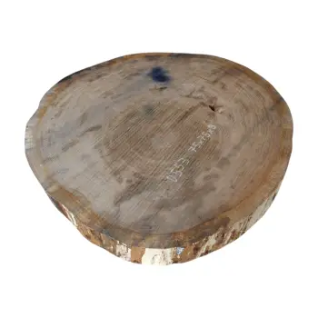 Plaster Dębowy 75x75x9cm Dąb po suszarni