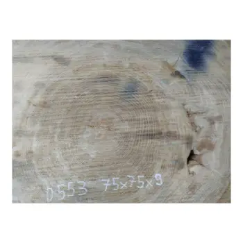 Plaster Dębowy 75x75x9cm Dąb po suszarni
