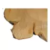 Plaster Czereśni po Suszarni 94x80x10cm