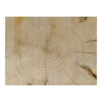 Plaster Czereśni po Suszarni 92x70x10cm