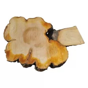 Plaster Czereśni po Suszarni 104x70x9cm