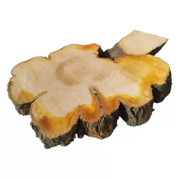 Plaster Czereśni po Suszarni 104x70x9cm