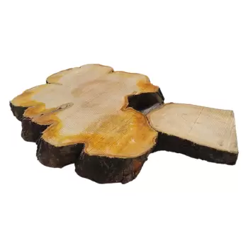 Plaster Czereśni po Suszarni 104x70x9cm