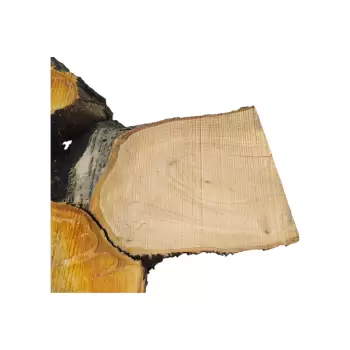 Plaster Czereśni po Suszarni 104x70x9cm