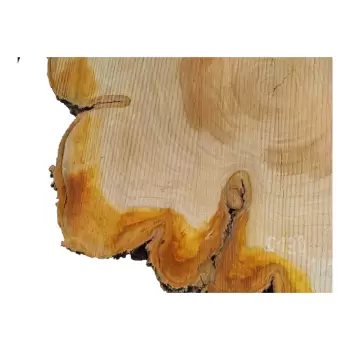 Plaster Czereśni po Suszarni 104x70x9cm