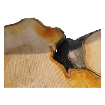 Plaster Czereśni po Suszarni 104x70x9cm