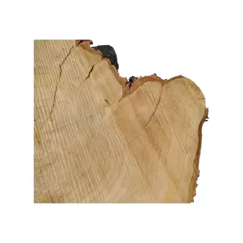 Plaster Czereśni po Suszarni 79x70x9cm