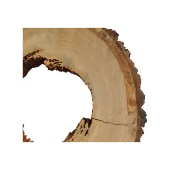 Plaster Dębowy po Suszarni 69x59x8cm w Czterech Kawałkach