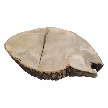 Plaster Jesionowy po Suszarni 112x79x8cm w Dwóch Kawałkach